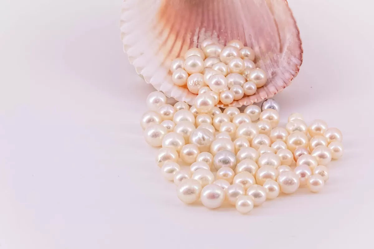 Buy 2025 akoya pearls