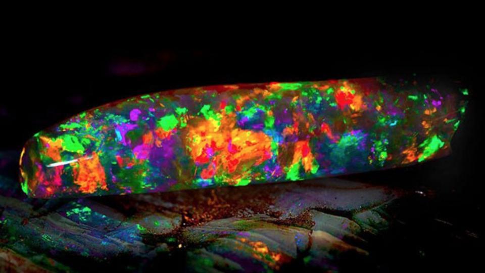 Black on sale opal gem