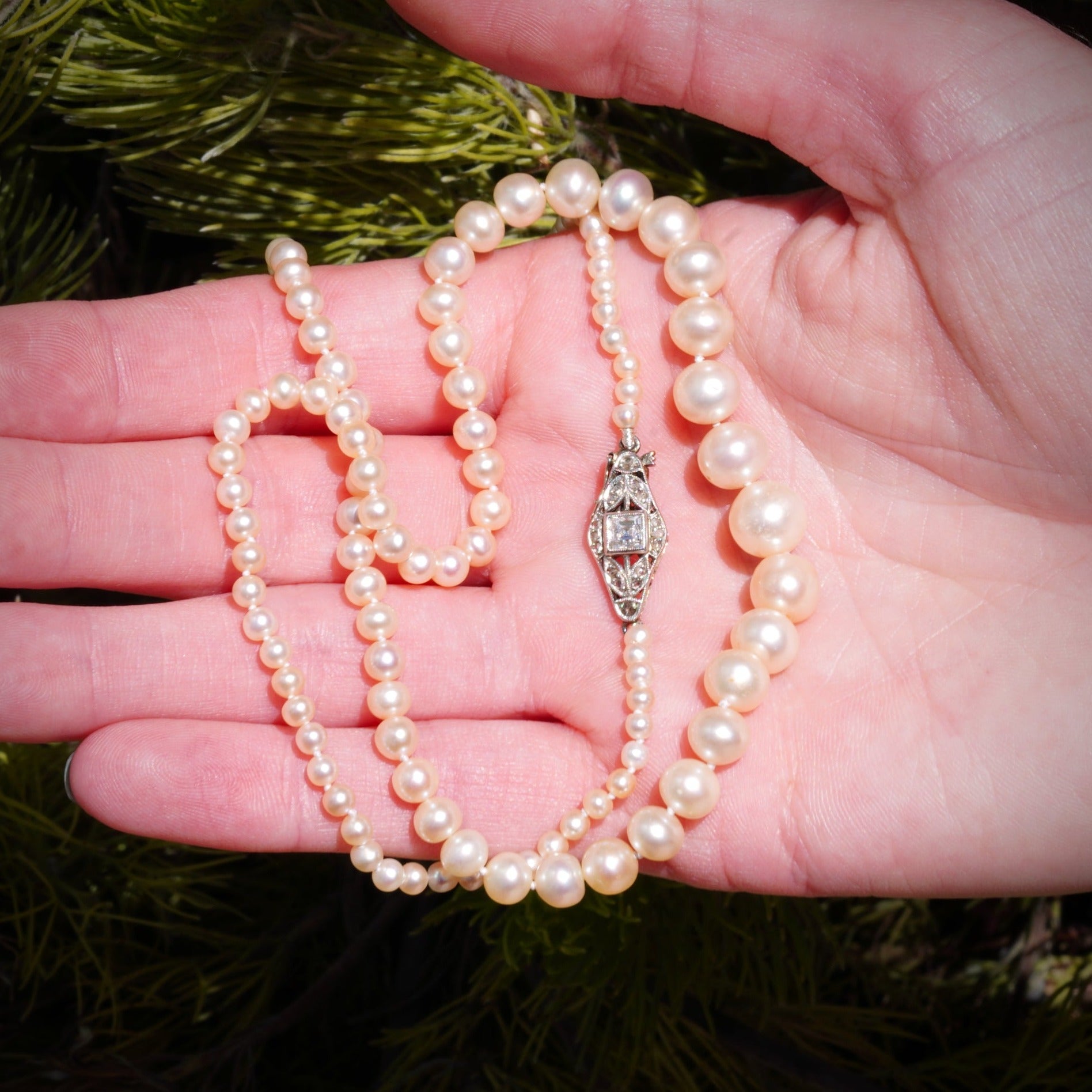 Natural Pearl Necklace, 14.89 grams