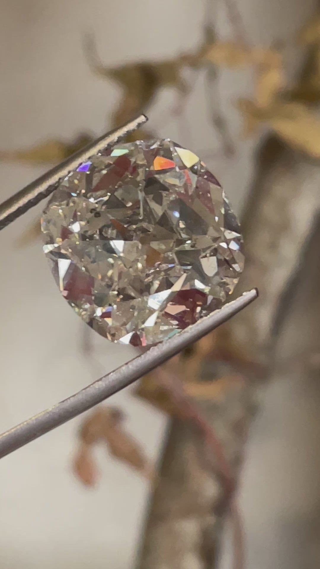 Anup Jogani's masterpiece: 17.58 CT diamond